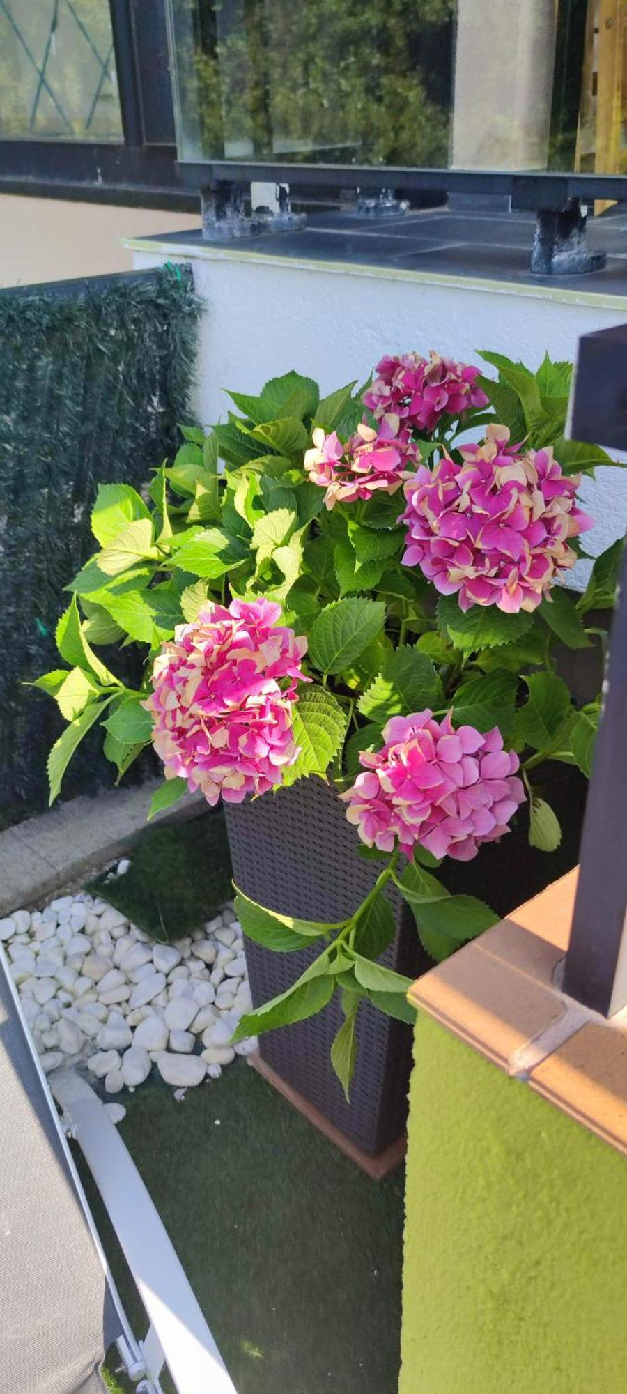 Apartamento Querote Fisterra1 ภายนอก รูปภาพ
